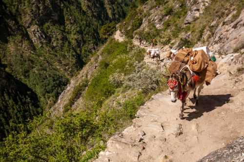 Foto offerta TREKKING ALTO DOLPO SHEY GOMPA, immagini dell'offerta TREKKING ALTO DOLPO SHEY GOMPA di Ovunque viaggi.